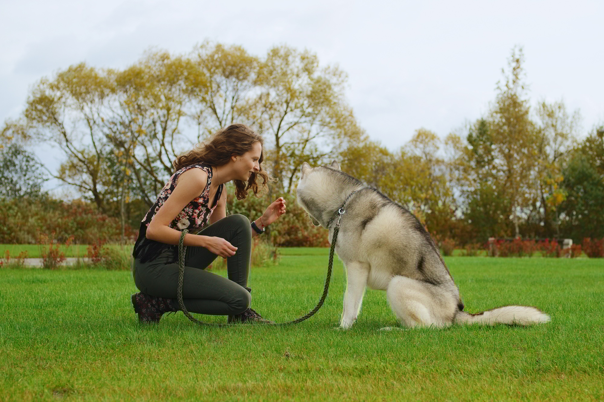 Girl playing with dog in city park. Training the dog.