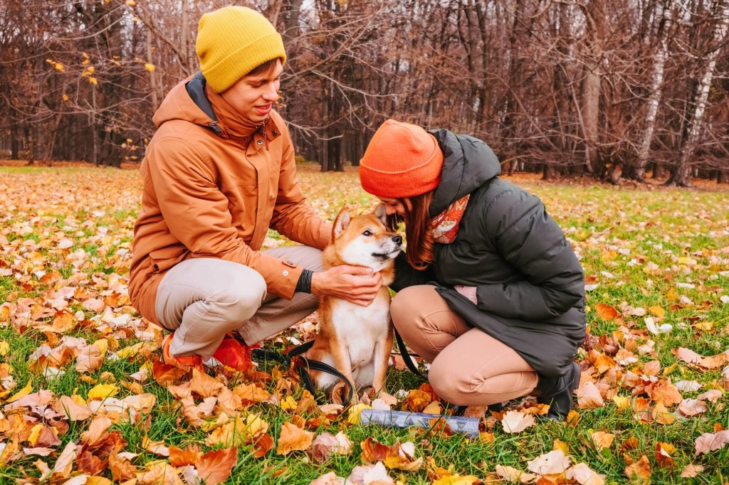 People hug dog. Autumn walking with dog in park.