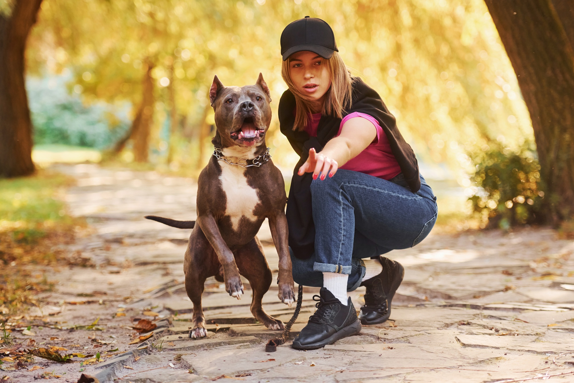Playing together. Woman in casual clothes is with pit bull outdoors